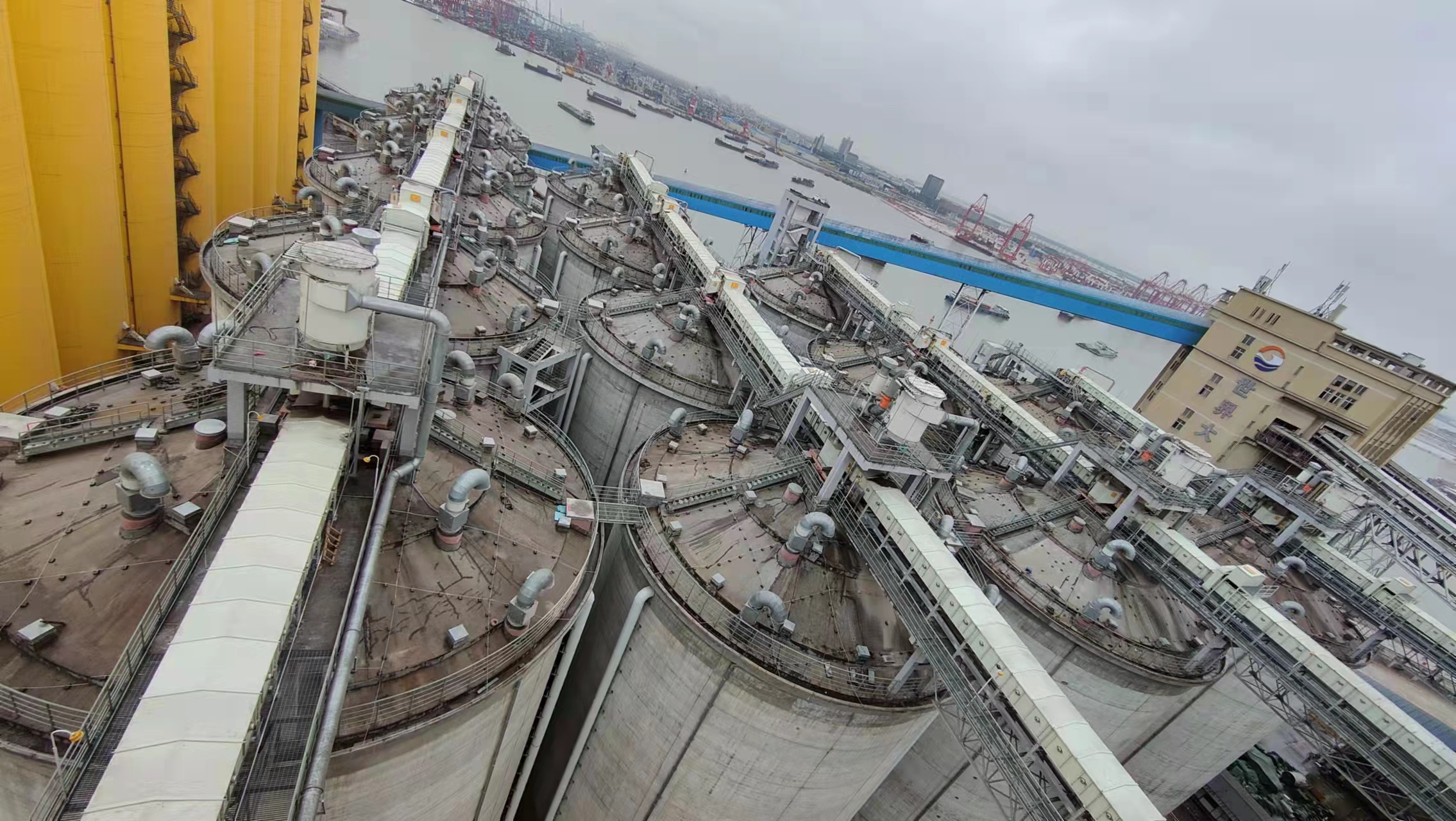 利馬克3D雷達(dá)物位掃描儀在廣州港南沙糧食筒倉和星倉的糧食庫存管理應(yīng)用(圖17)